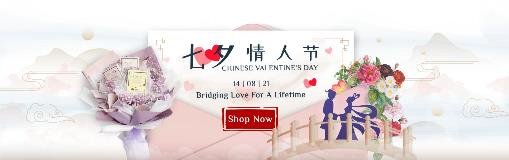 01_Main-banner_Qixi_Desktop_02