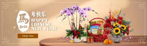 CNY2026_Homepagebanner_Desktop_100%