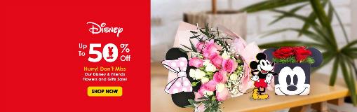 Disney Sales_Main Banner_Desktop