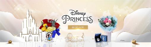 DisneyPrincess_Main-banner_Desktop