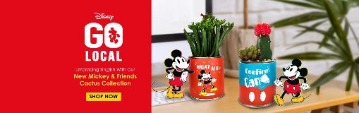 Go Mickey Local 2022 Disney Mickey & Minnie Collection