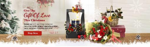 Main-Banner_Christmas-Trial