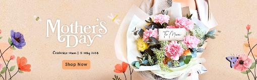 MDAY24_Main Banner_Desktop