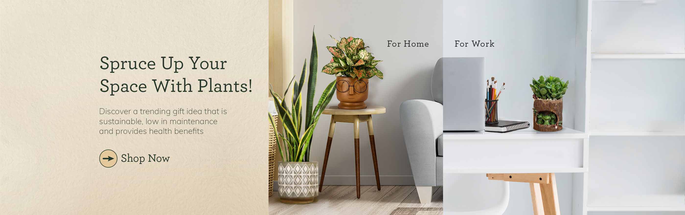 Plants-Main-Page_Desktop