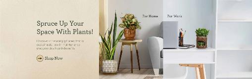 Plants-Main-Page_Desktop