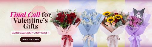 VDAY2026_MainBanner_LastChance_12Feb (Desktop)