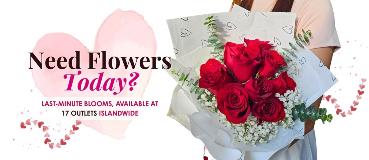 VDAY2026_RetailLP_Cash and Carry_13Feb (Desktop)