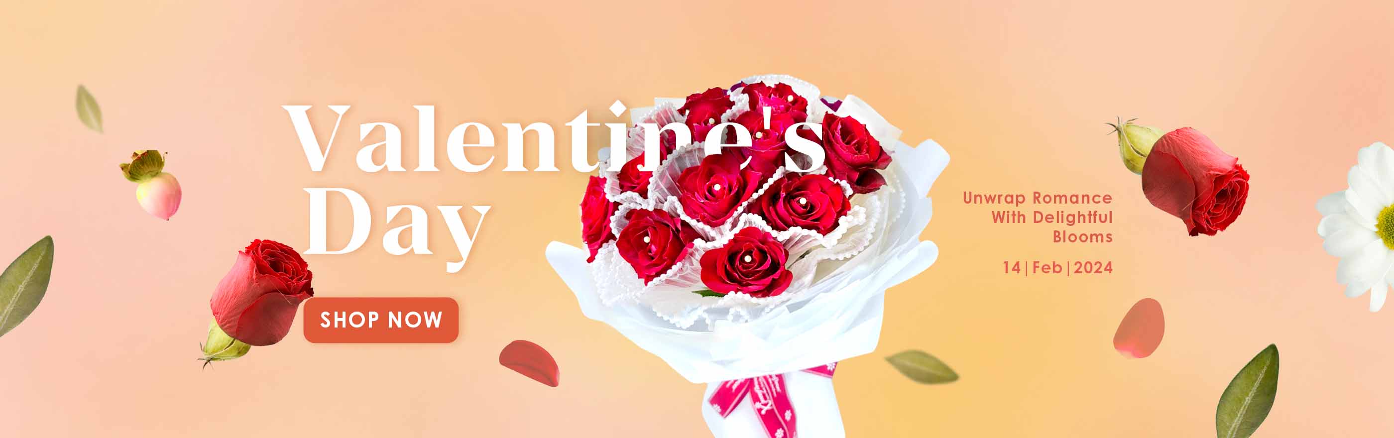 VDAY24_Main Banner_Desktop