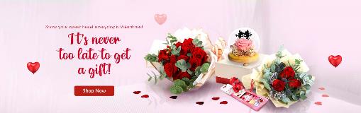 VDAY_Desktop_15th-Feb-homepage