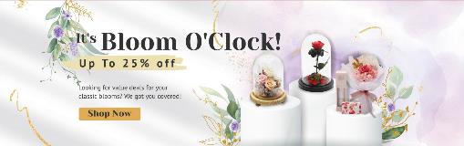 WSS01-Main-Page-Desktop