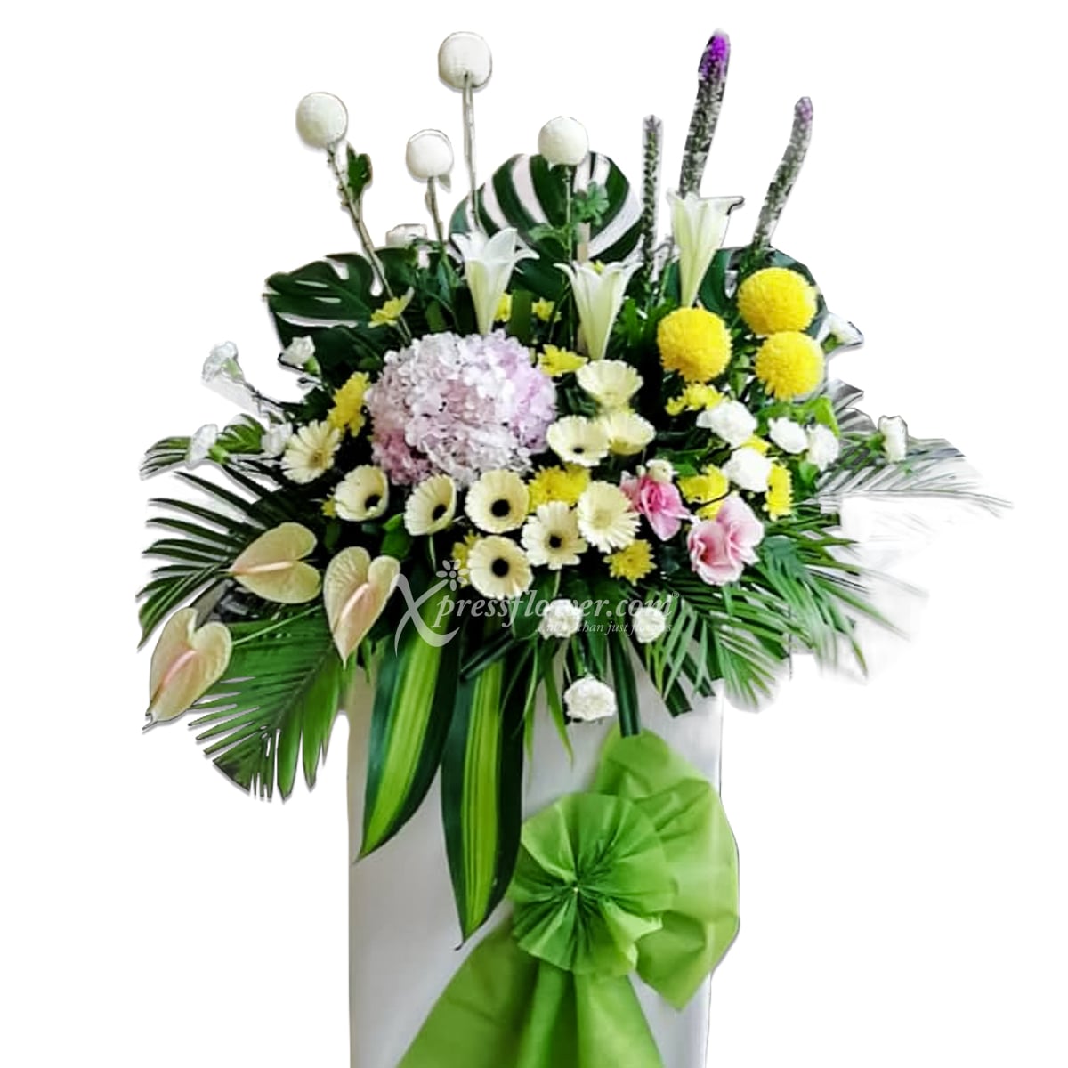 CONDOLENCE WREATH G (MYJB)