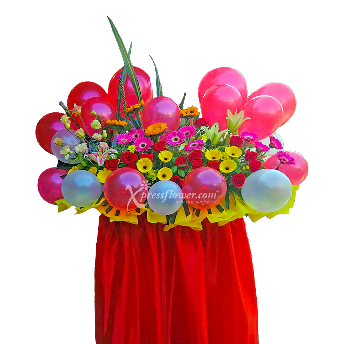 CONGRATULATORY STAND A (MYJB)