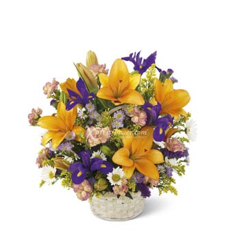ARRANGEMENT OF BRIGHT AND COLORFUL FLOWERS (TW)
