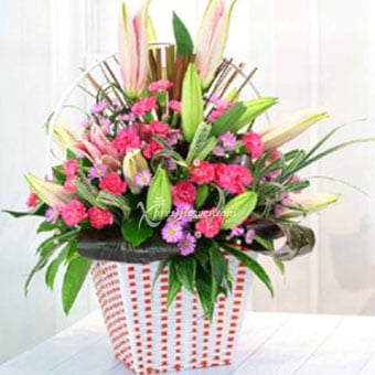 PINK & PURPLE FLOWERS IN CONTAINER (VN)