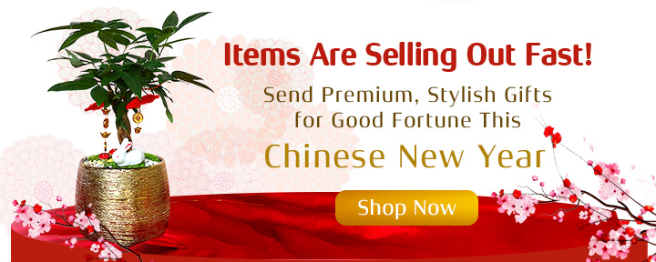 Shop our CNY Collection!