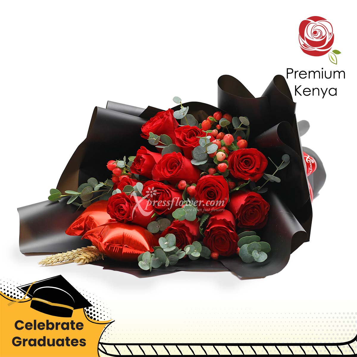 BT1804 Bewitched 1b 14062023