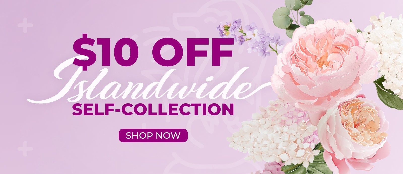 Find Out More About Our Wholesale Flowers