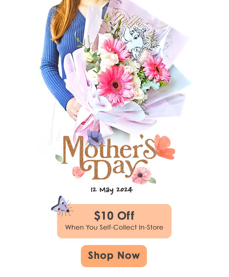 Celebrate Mother's Day this 12th May with beautiful flowers!