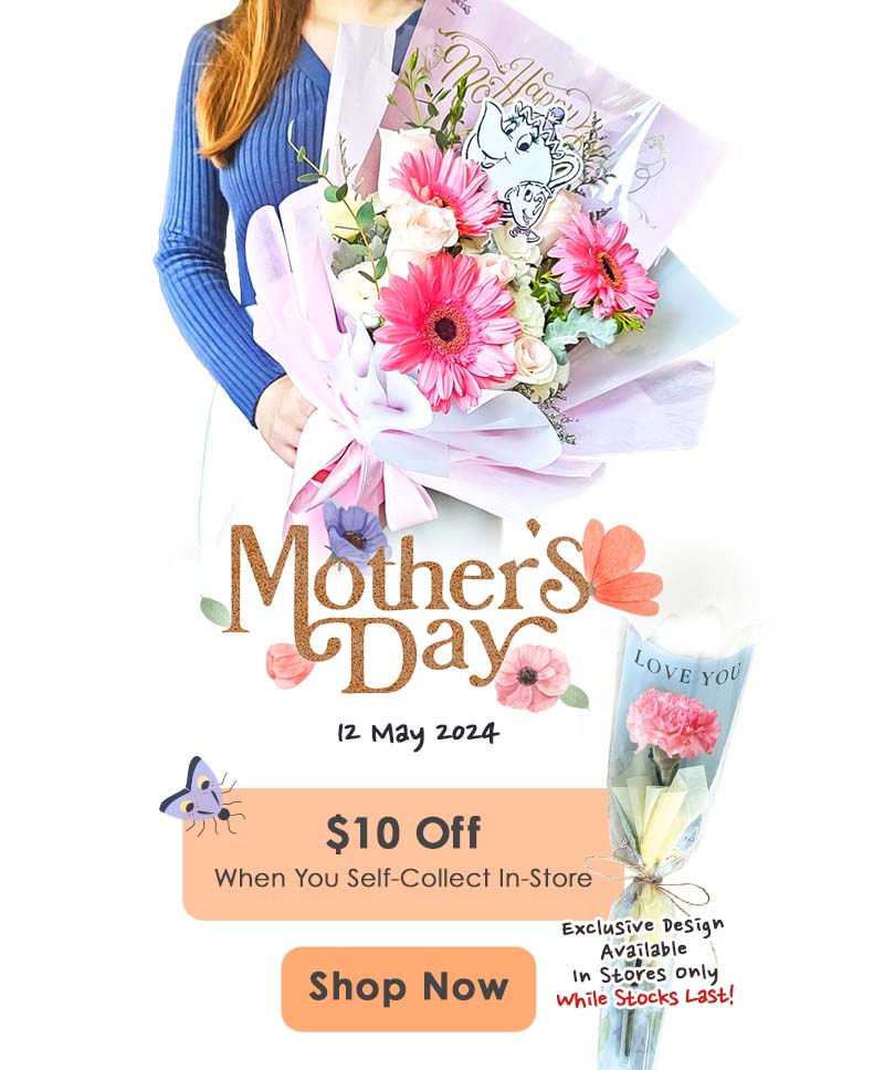 Celebrate Mother's Day this 12th May with beautiful flowers!