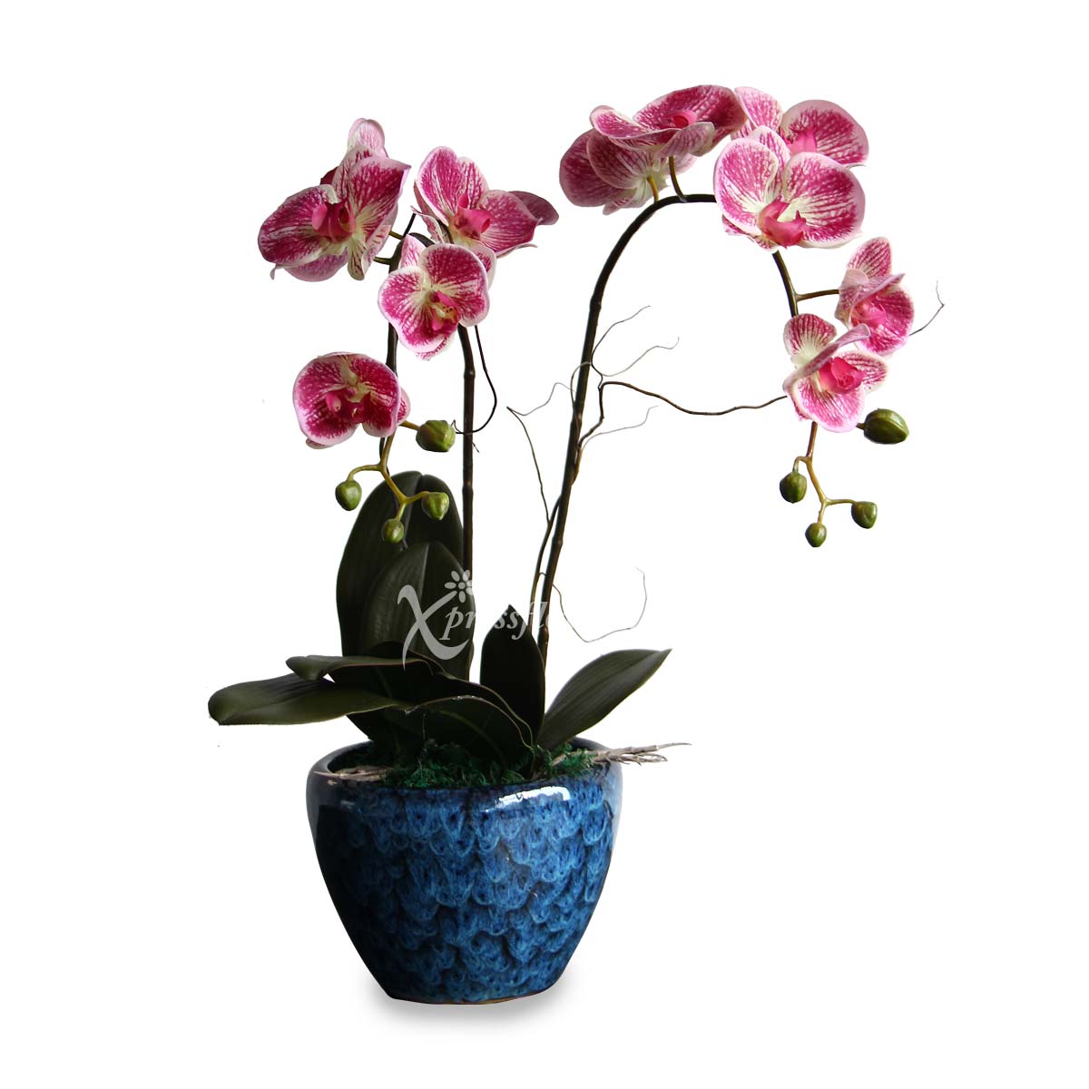 Flawless Grace (Artificial Orchid)