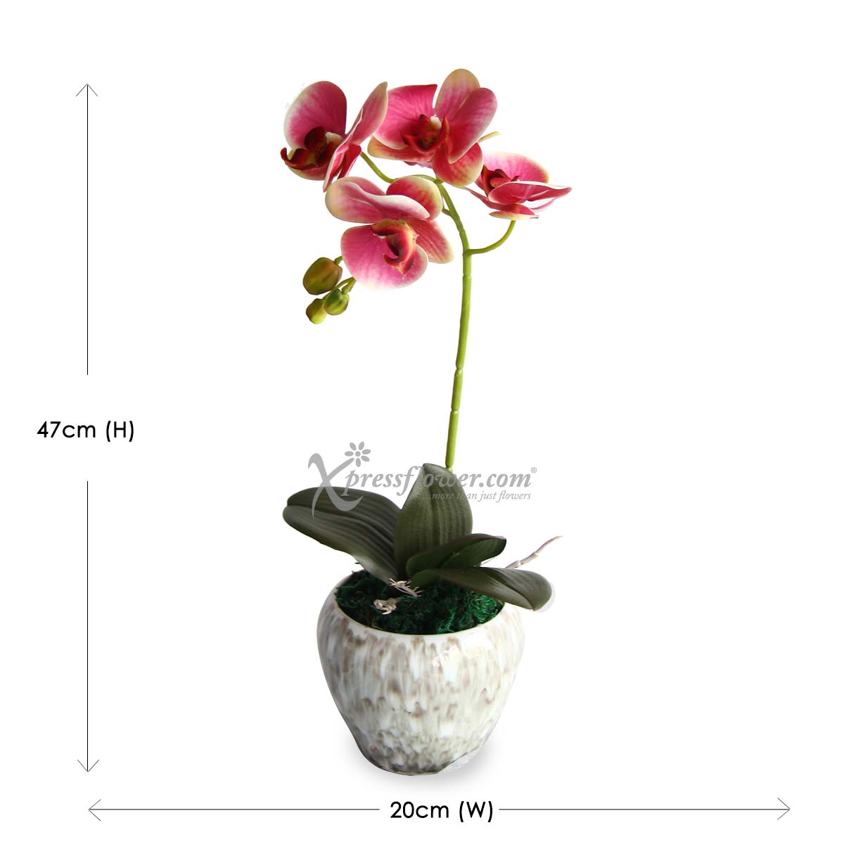 OC2102 Blooming Mulberry Artificial Orchid B