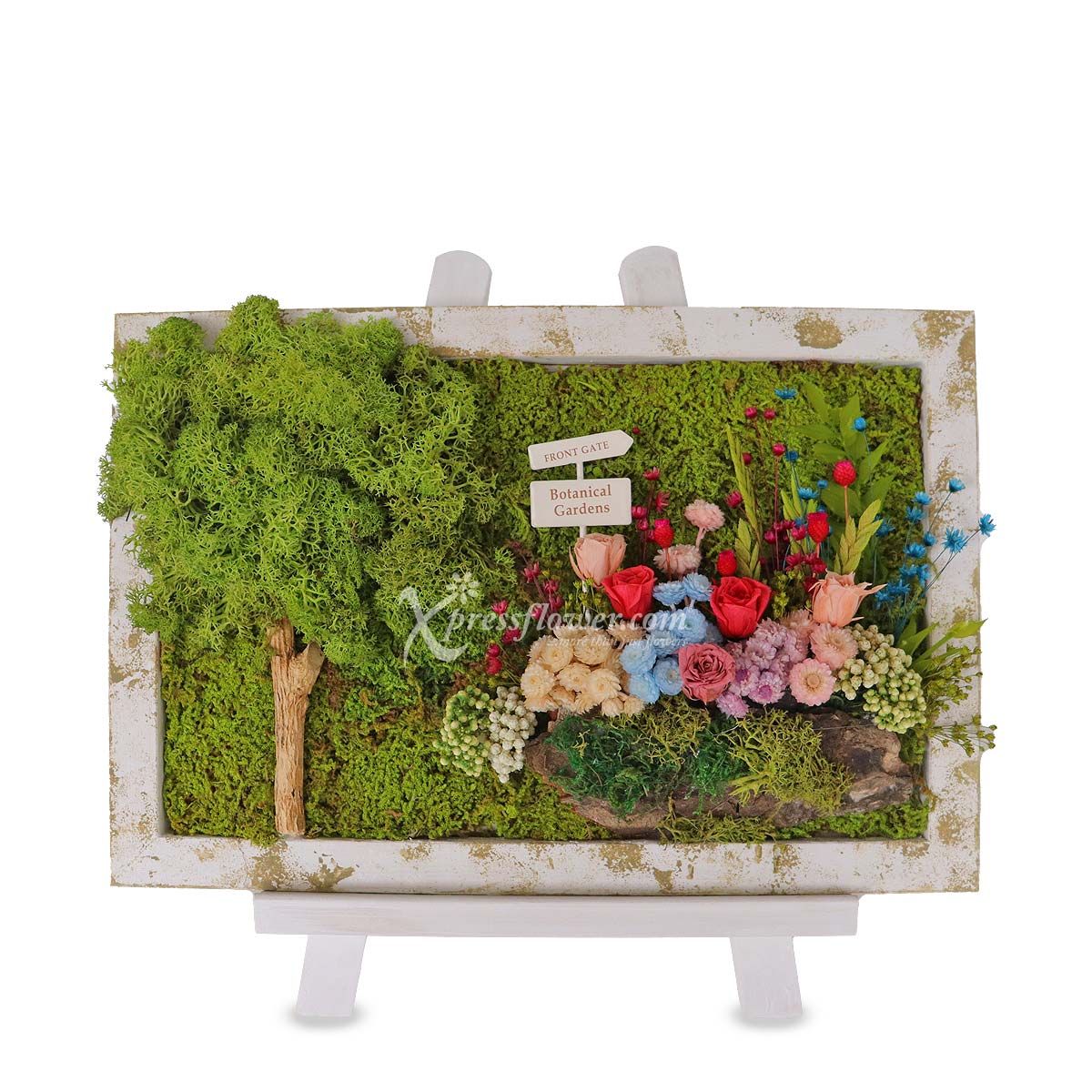 Petit Jardin (Moss art with preserved flowers)