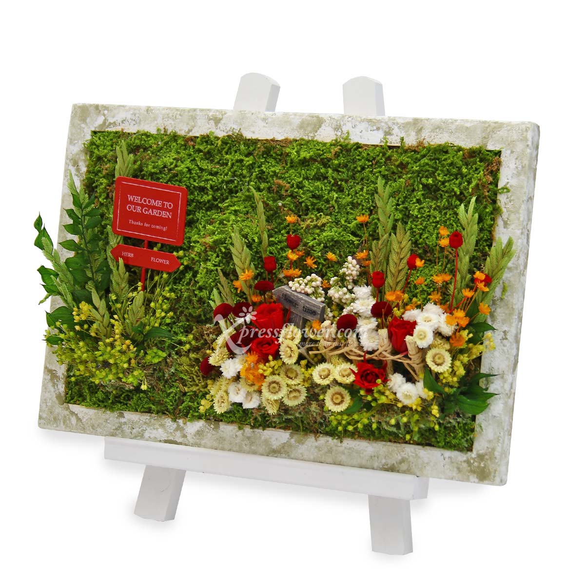 Flowers Time (Moss art with preserved flowers)