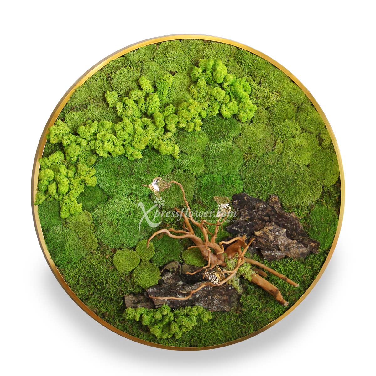  Eternal Lush (Moss Art)