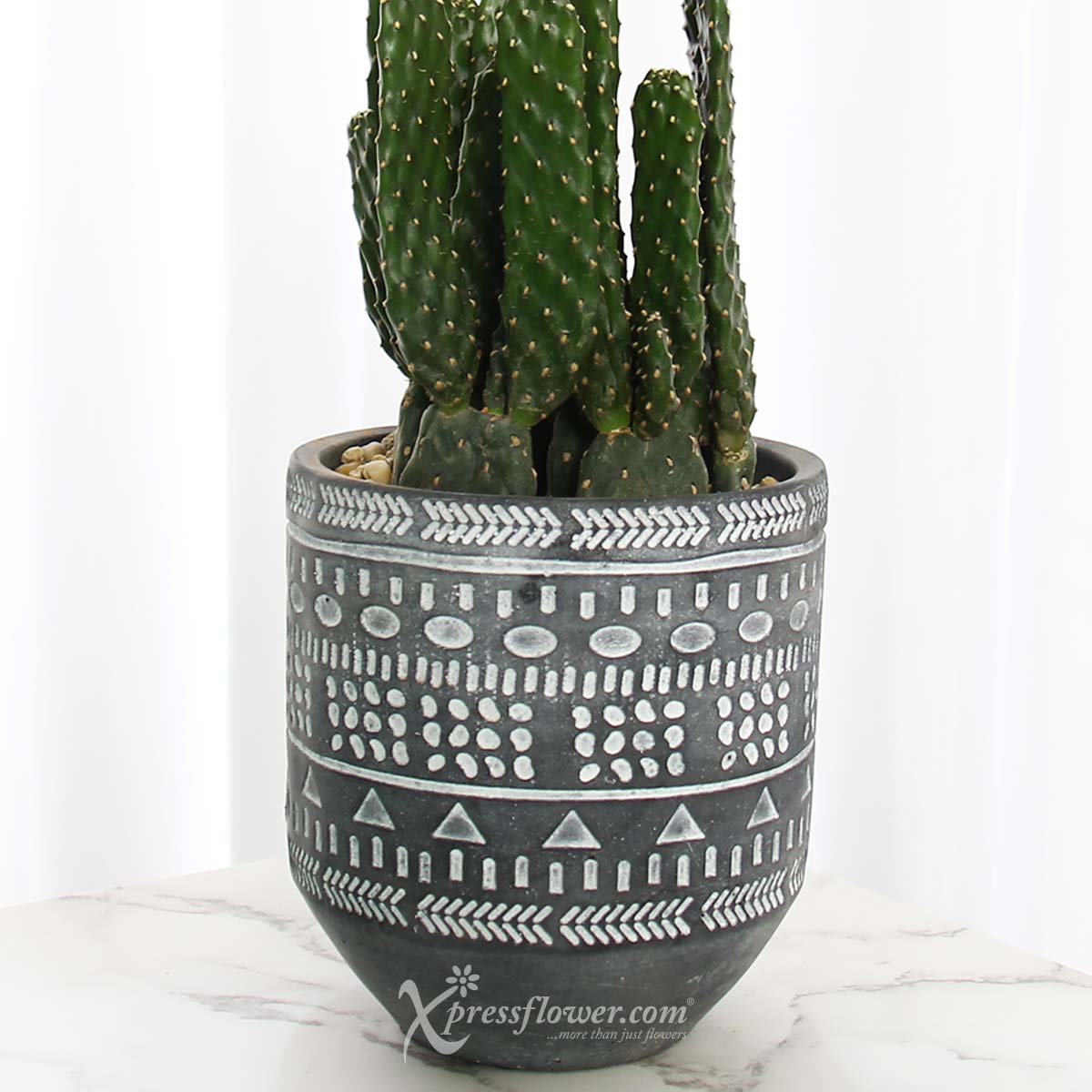 PS2114 Arizona Grace (Cactus) 1b