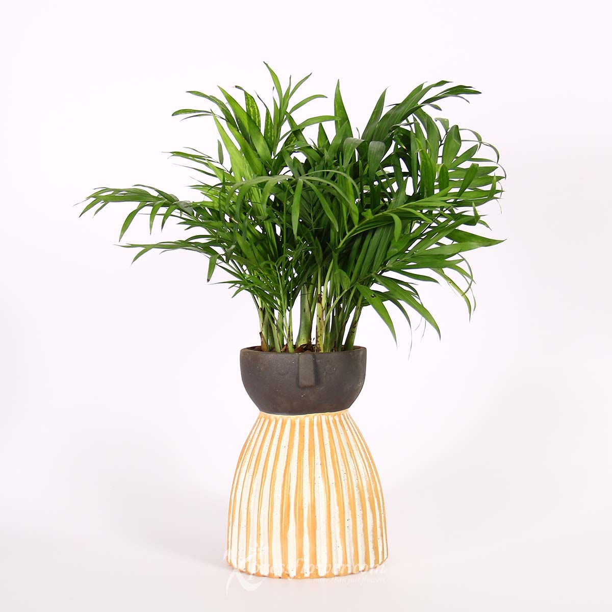 PS2125 Serene Wilderness Palm Plant 5a