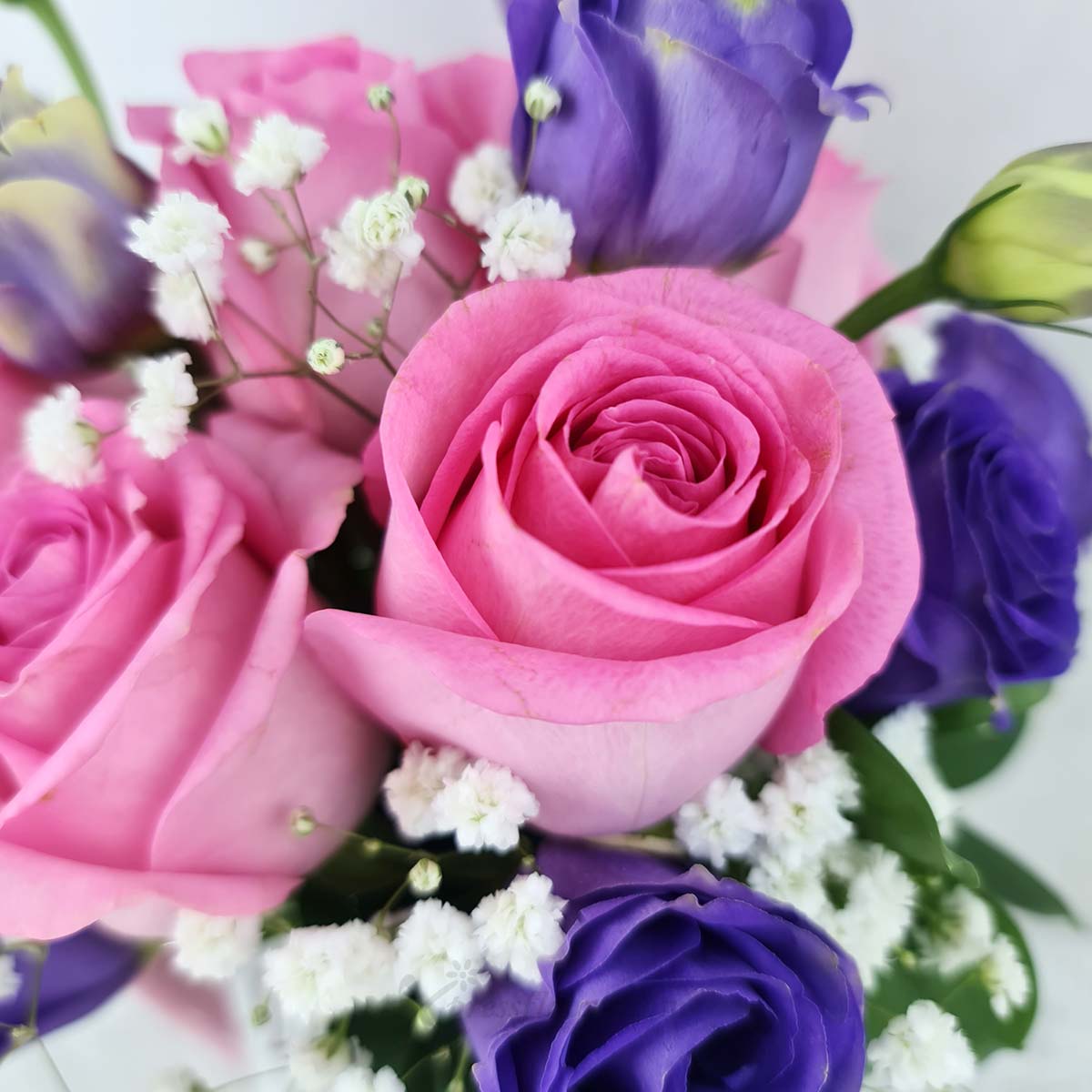 VDAR2432 Love Pledge (6 Dark Pink Roses) 1E