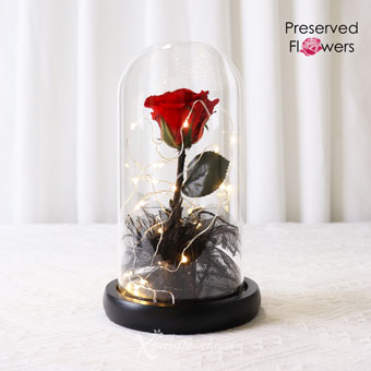 Electrifying Rose (Preserved Rose with LED Lights)