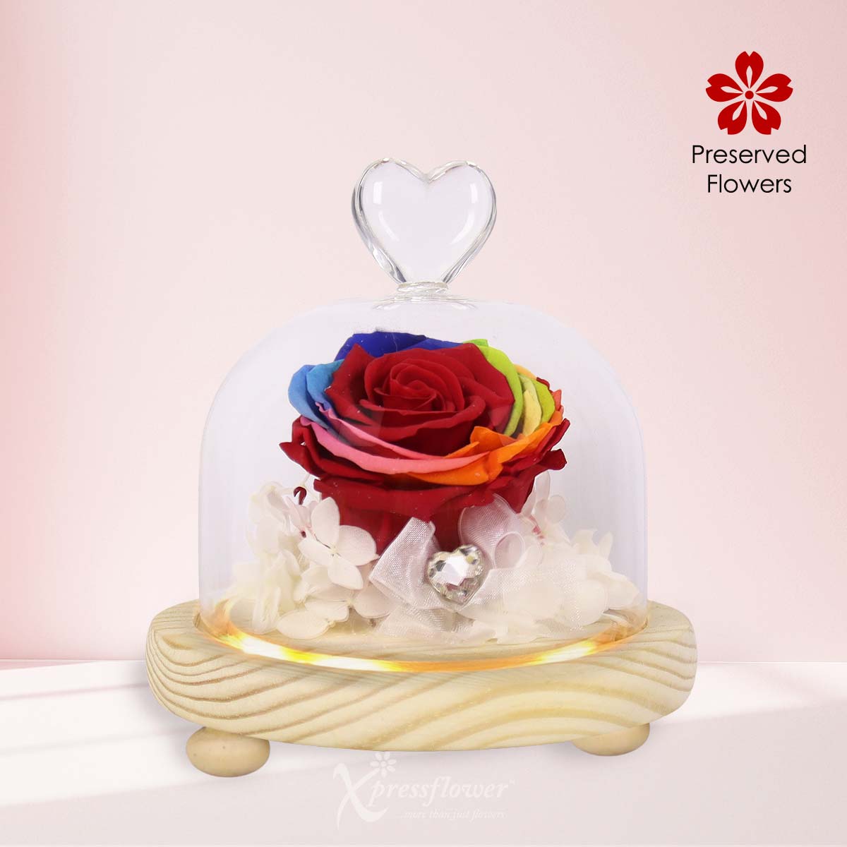 Rainbow Reverie (Preserved Rainbow Rose)