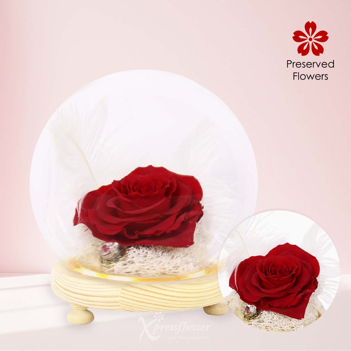 Heart Eternal (Preserved Rose)