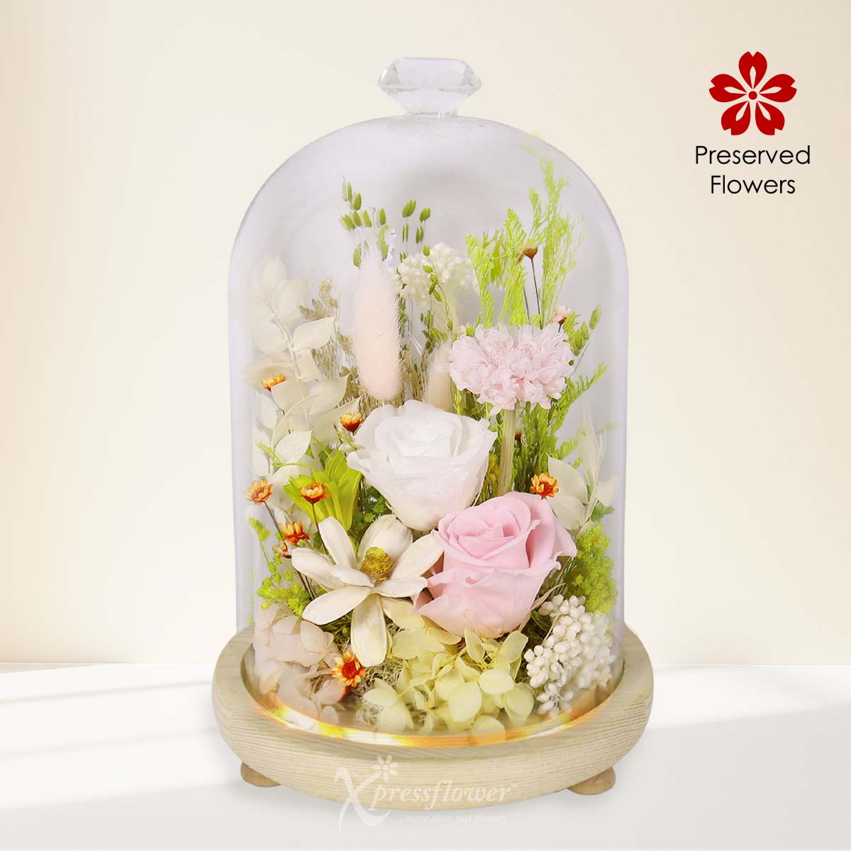 Soft Evermore (Preserved Roses & Flowers)