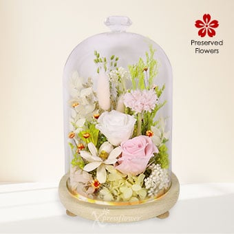Soft Evermore (Preserved Roses & Flowers)