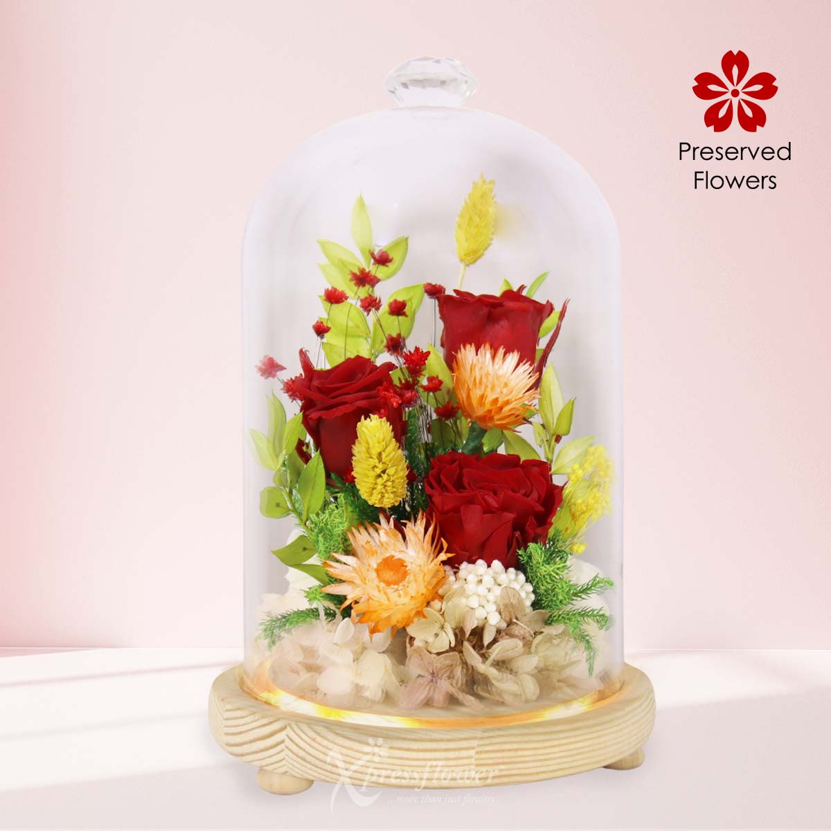 Verdant Passion (Preserved Roses & Flowers)