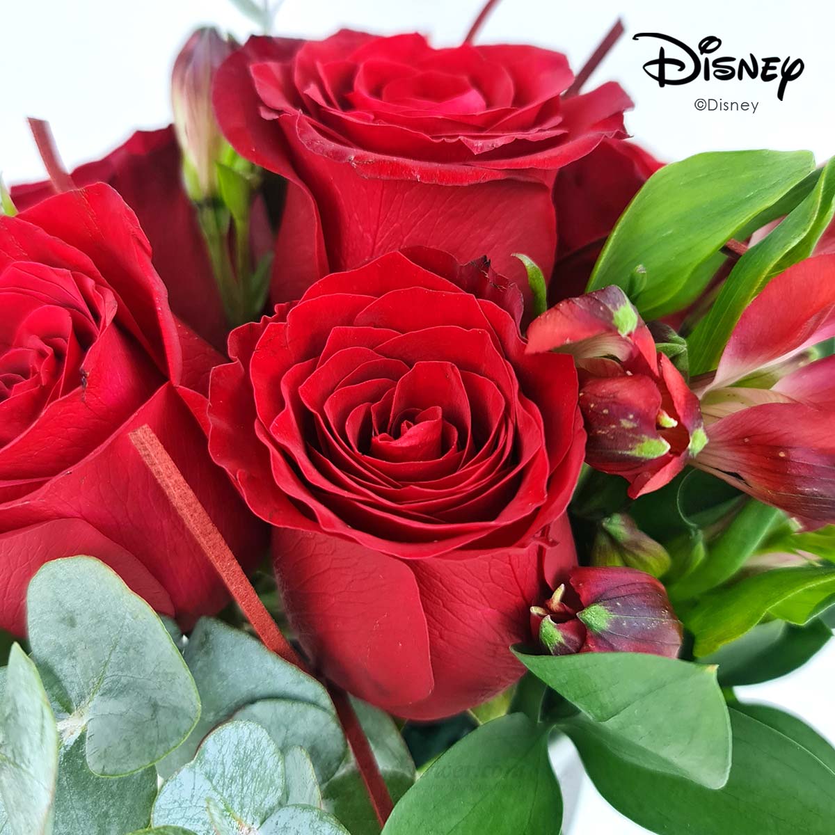 VDS2485M Fairytale Blooms (6 Red Roses Disney Arrangement) 1D